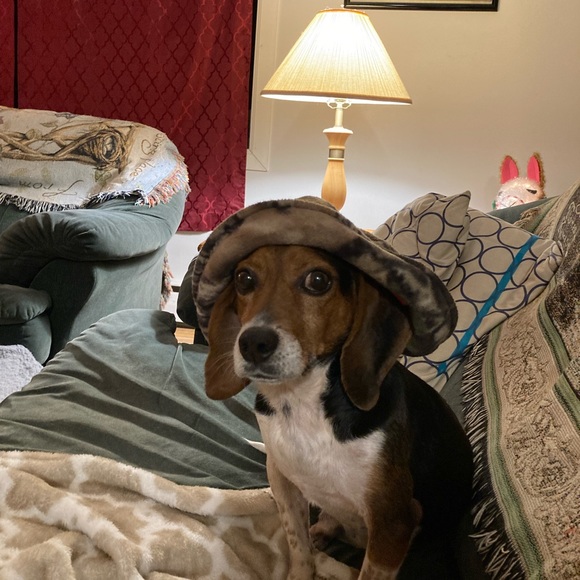 Meet your Posher, Pamela - Picture 12 of 16